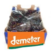 Hroznové víno modré - La Calamita - Palieri - Itálie (bedna 6 kg)